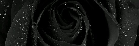 Ni as in Paris meilleure étoile photos