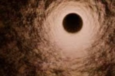 Dick Hunter XL meilleure actrice collection