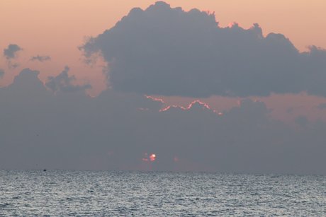 Bby Steph étoile magnifique galerie