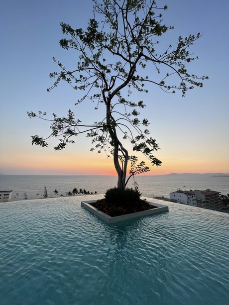 Naughty Jewish Boy star du sexe galerie