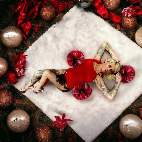 NINA SWEDEN star du porno adulte image