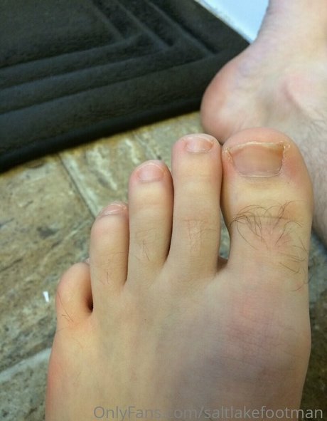 chaton potelé uniquementfans joli galerie