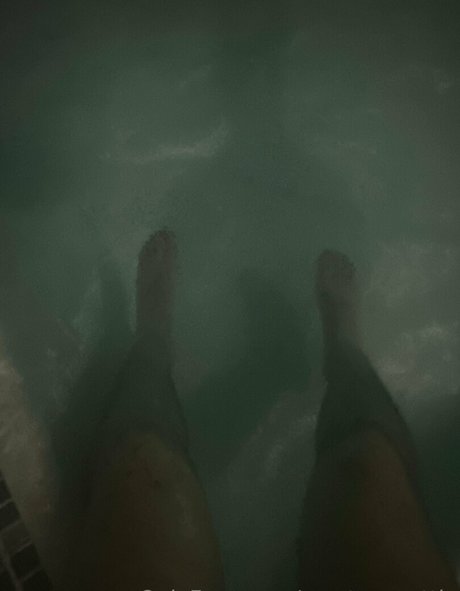 master scottie art de star du porno img