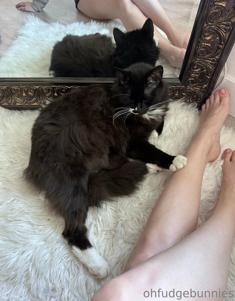 ofudgebunni Profilfoto