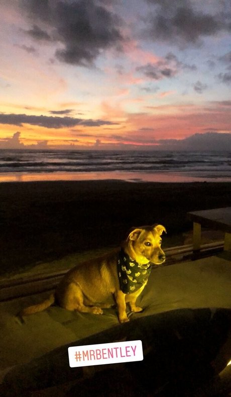 bexiewilliams actrice de grande qualité galerie