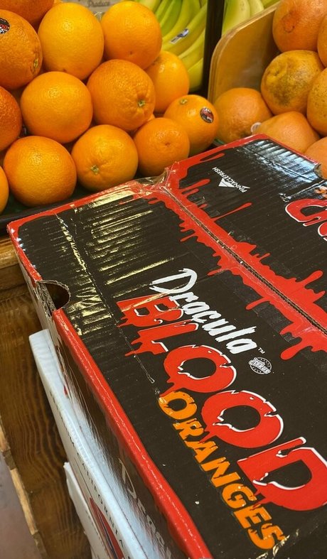 kellynakatomi jolie actrice img