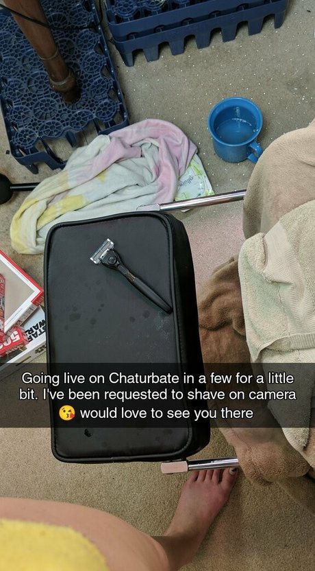 spivvens nus étoiles collection