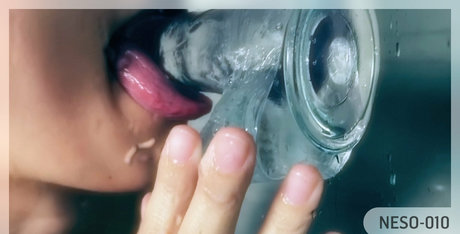 nesox star du porno hd collection