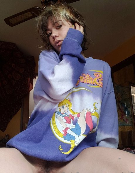 vviolet3 étoile de haute qualité archive