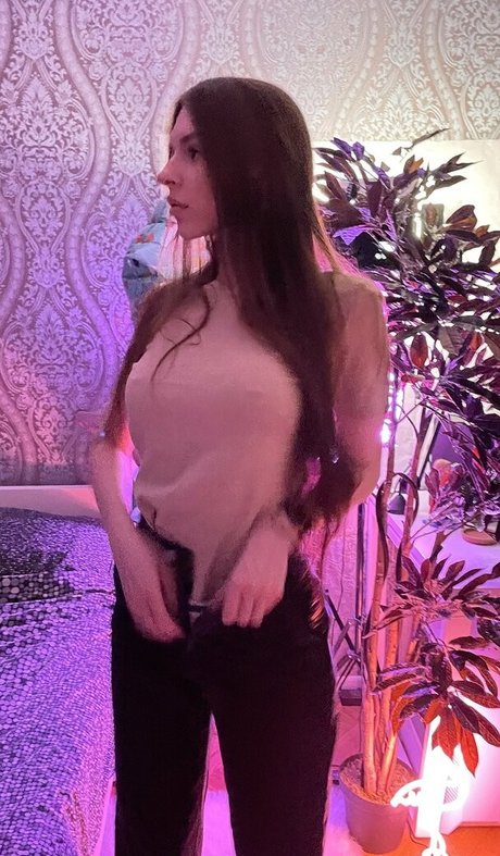 xmednisx haut étoile galeries