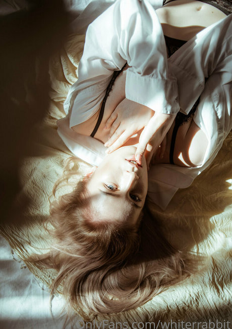 whiterrabbit modèle gratuit galeries