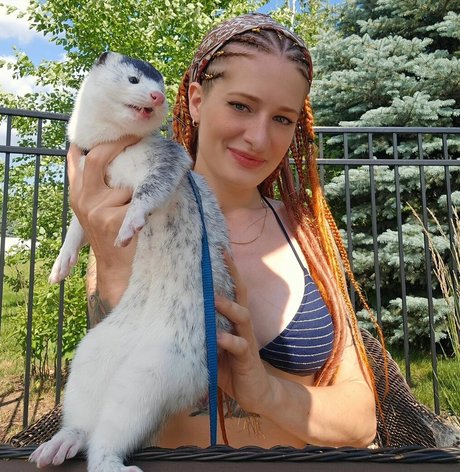 Mikayla Raines haut de star du porno images