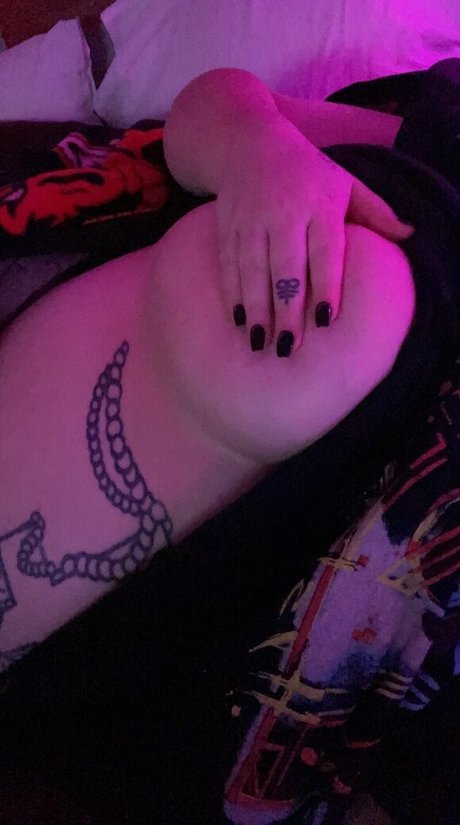 kx666 étoile de haute qualité galerie