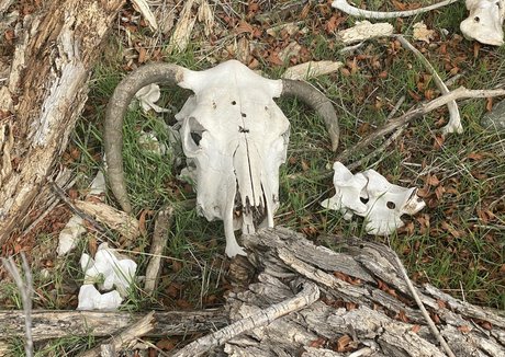 orgasme du mamelon onlyfans parfait images