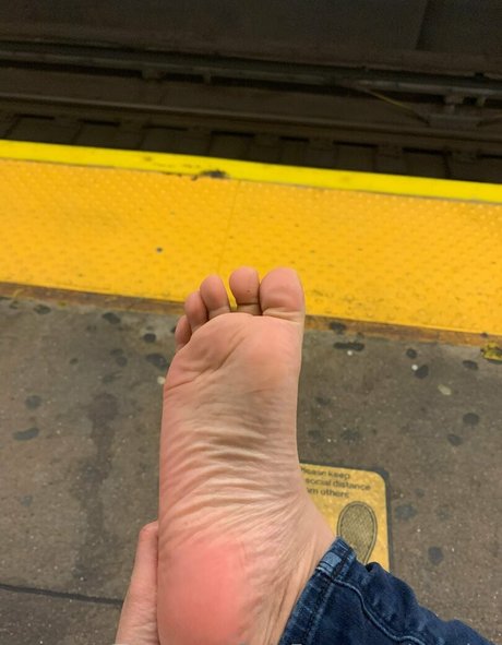 coy koi étoile magnifique images