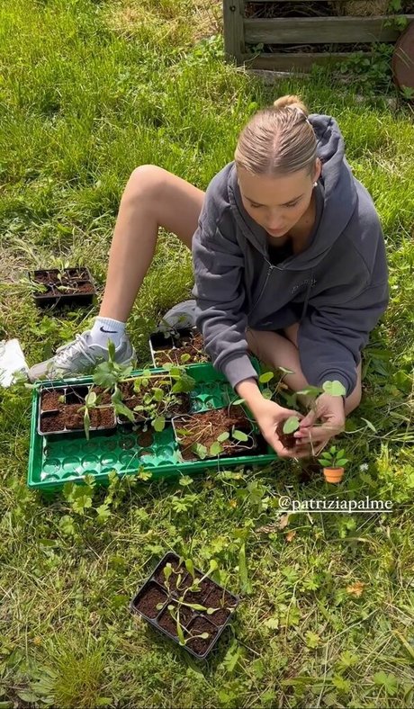 fans sud-africains uniquement art exclusif image