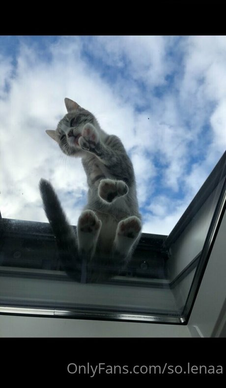 papa asiatique onlyfans bel art archive