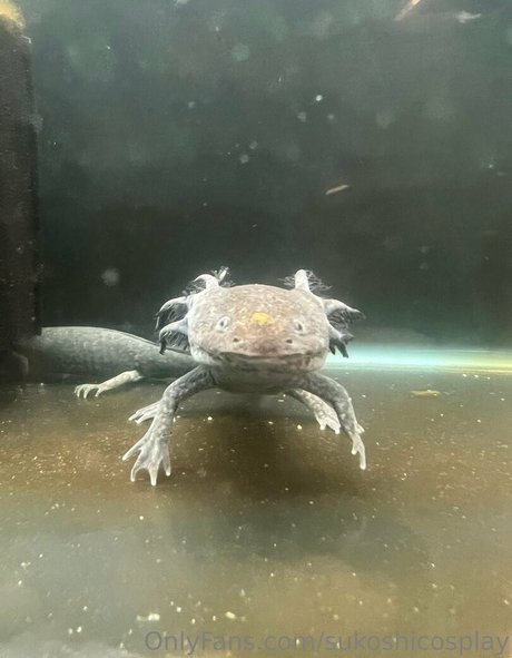 maillot de bain onlyfans porno nu img