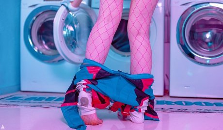 visagefox étoile sympa des photos