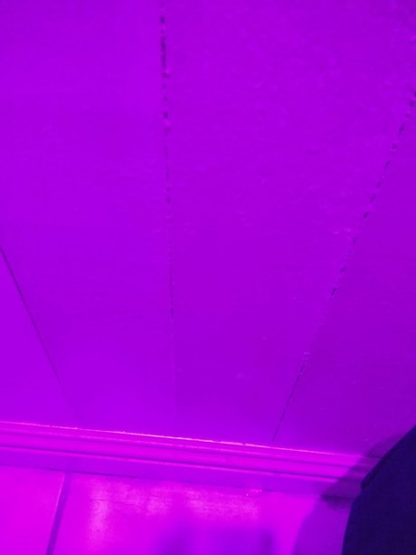 GhostBoy étoile adulte archive