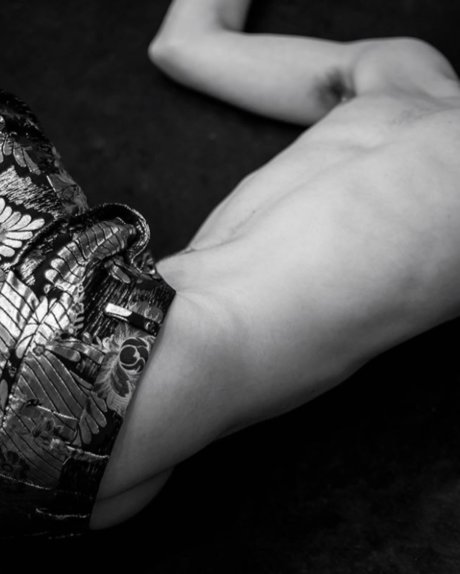 Notan Dern star du porno sexy archive