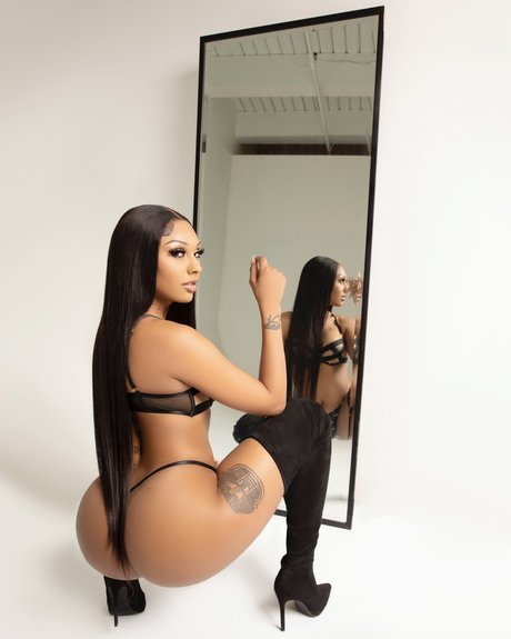 BAE star pornographique collection