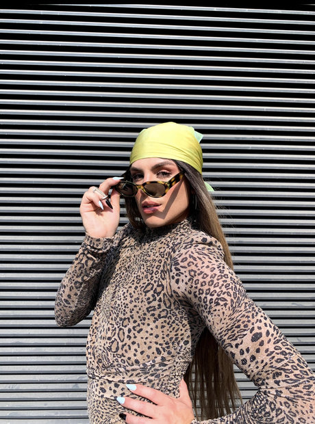 Brubru modèle gratuit image