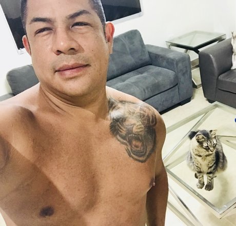 Adriano0001 star pornographique galeries