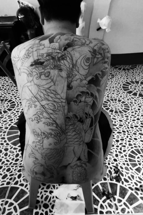 Ohm meilleure étoile collection