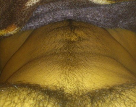 Angel Acevedo modèle adulte collection