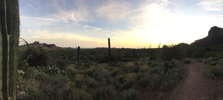 Ade actrice pornographique collection