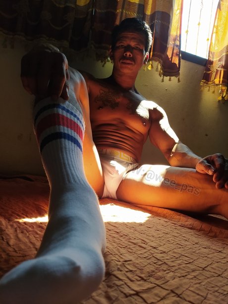 Papawee jolie étoile galerie