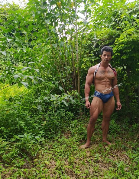 Papawee belle actrice collection