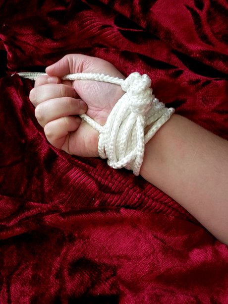 AnnaRose actrice porno archive