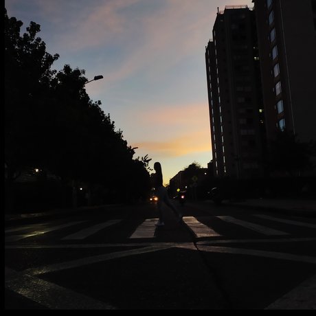 Paola Prada étoile gratuite galeries