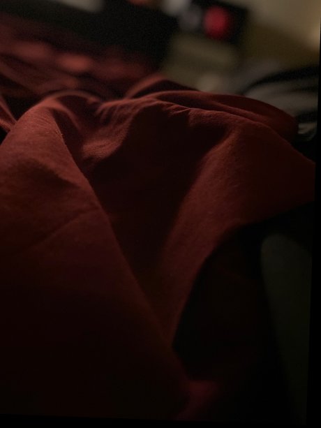 Perva Max art de star du porno img