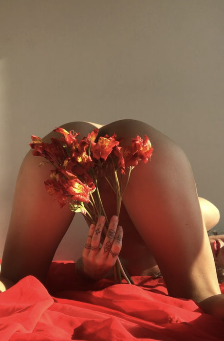 petitedelight modèle hd img