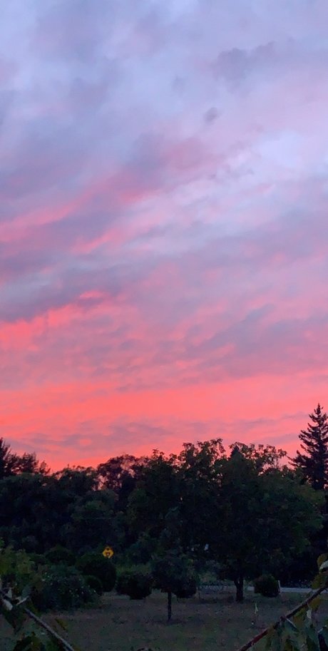 Kaye modèle xxx galeries