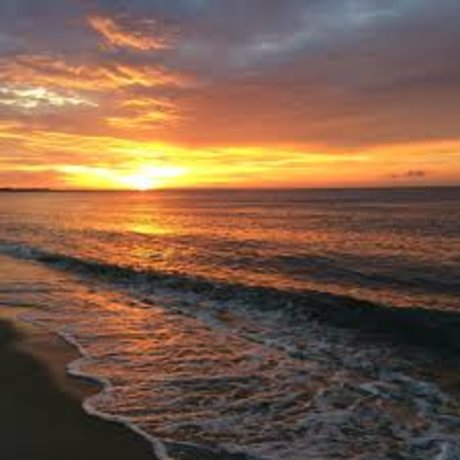 Daniel Mar star du porno chaude images