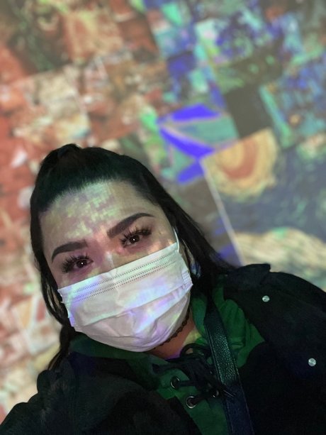 Chincona jolie étoile collection