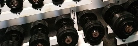 Pony Tails meilleure étoile photos