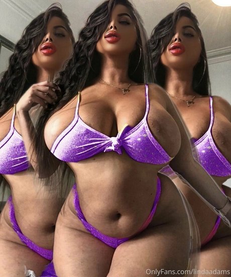 lindaadams art de star du porno collection