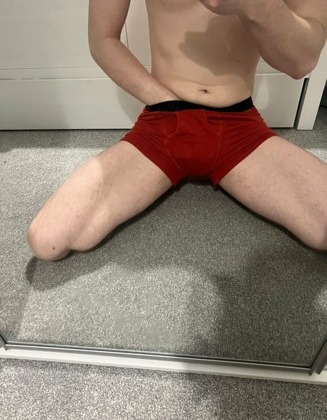 lee ritchie haut de star du porno collection