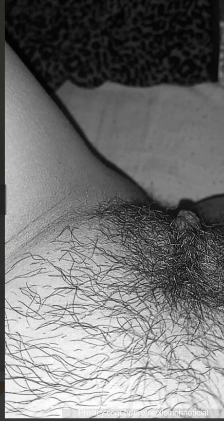 Vitoria Mansueto star érotique collection