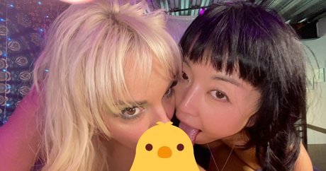 danadearmondfree art de star du porno galeries