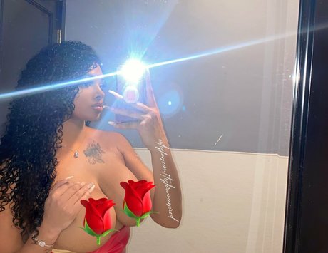 tylerwisby modèle parfait galeries