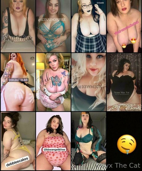 felyxfree modèle img