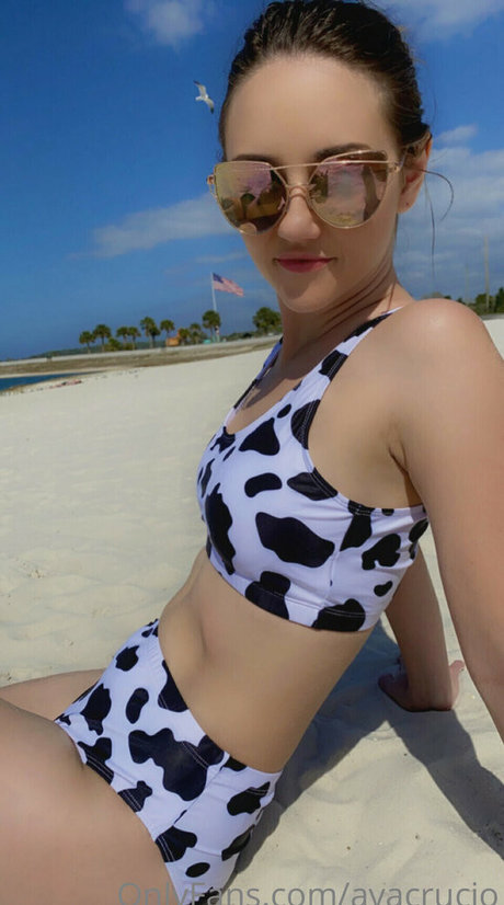 avacrucio art modèle collection