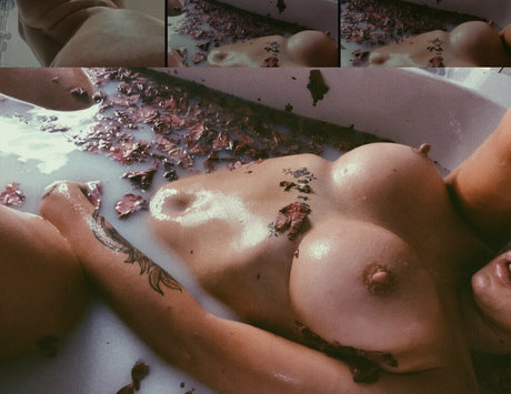 Nikita Reign actrice pornographique archive