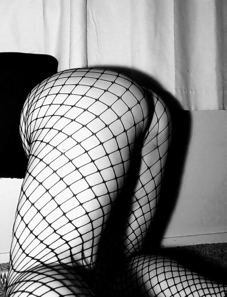 underyourdome modèle sympa img